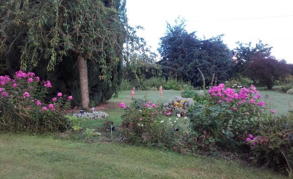 Stage de yoga en Normandie Stage de yoga en Normandie